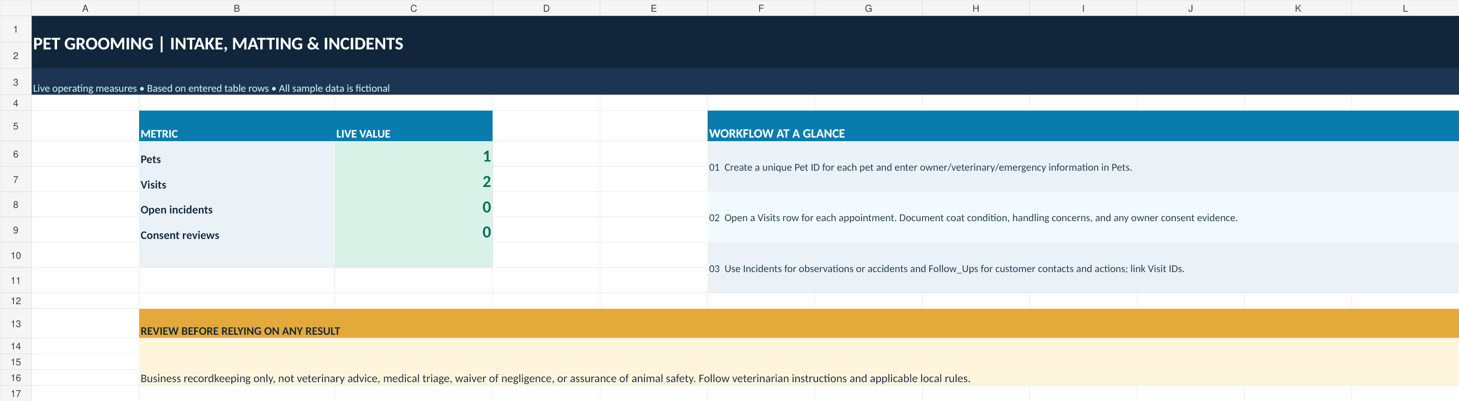 Actual Pet Grooming Intake, Matting & Incident Toolkit Excel dashboard